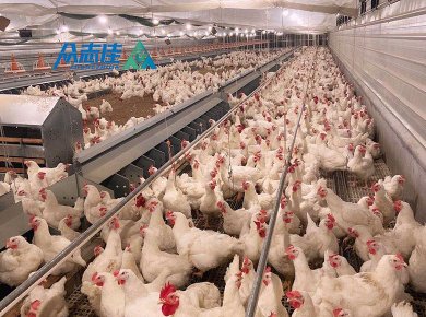 _0003_breeder floor system 4