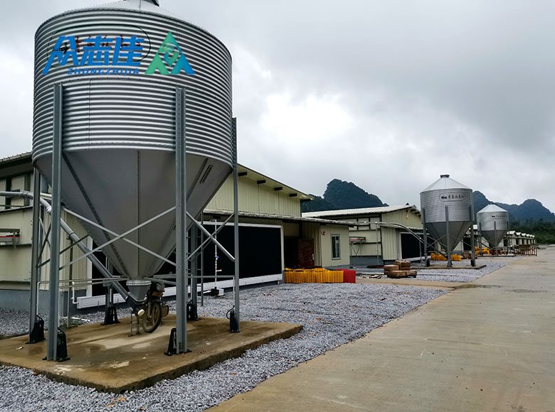 Feed Silo and Conveying System