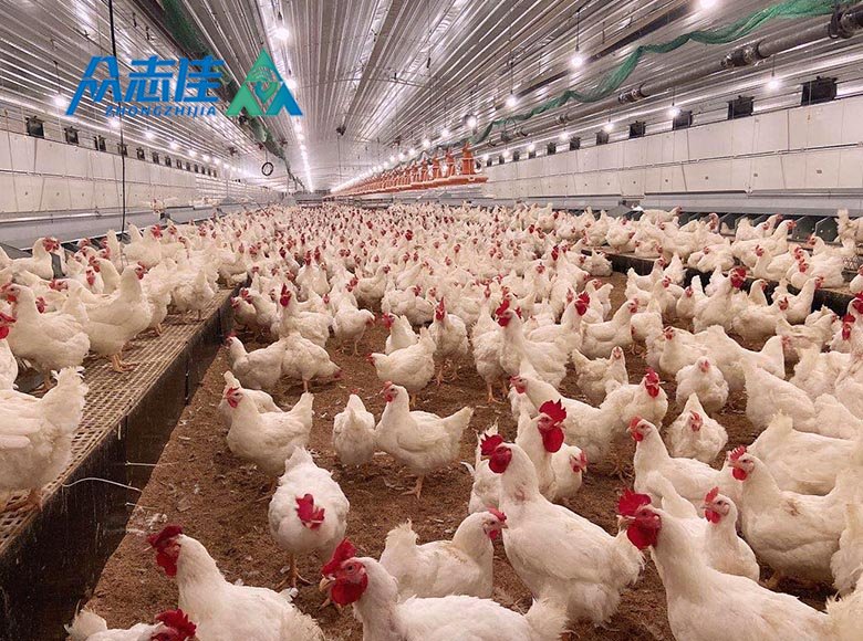 Breeder Floor Systems