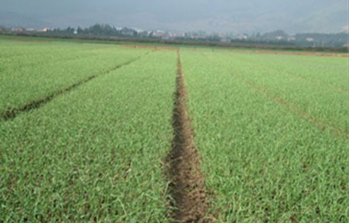 Quality Inspection Station