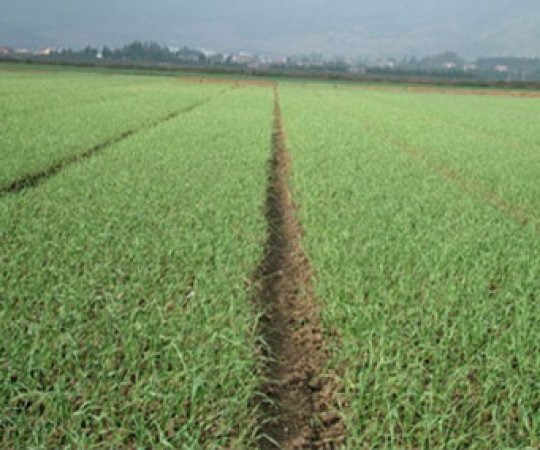 Mechanical accessories