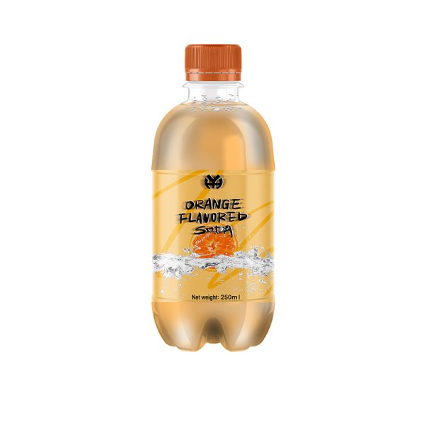 橘子味_0004_1-250mlPET瓶橘子味汽水250mlPET bottle of orange-flavored soda