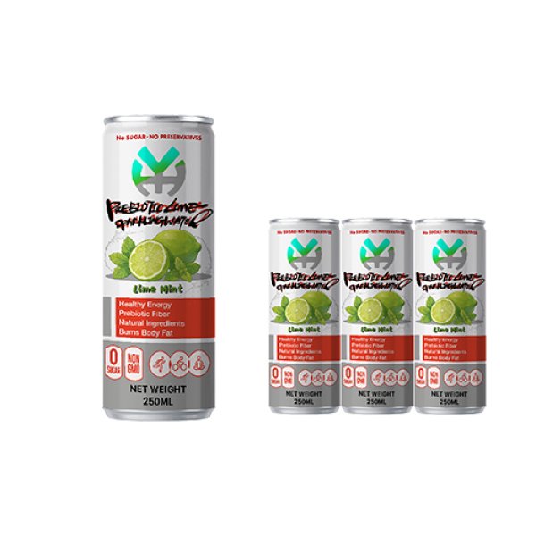 Slim 250 Lime Mint Prebiotic Sparkling Water (2990)