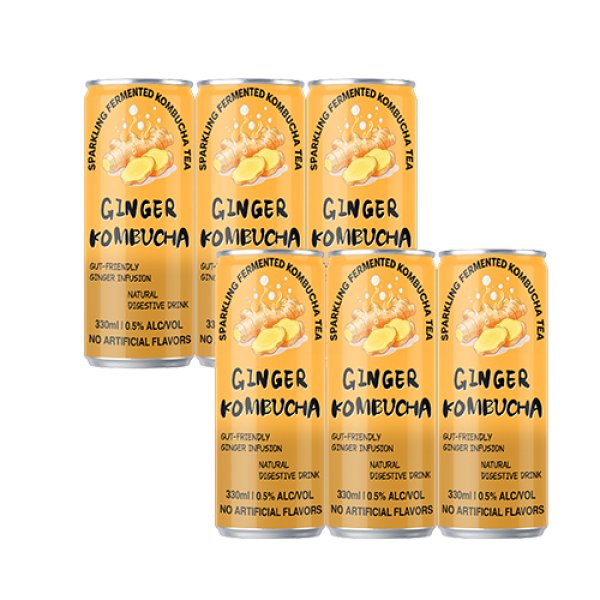 Sleek330 Ginger Sparkling Kombucha (3015)