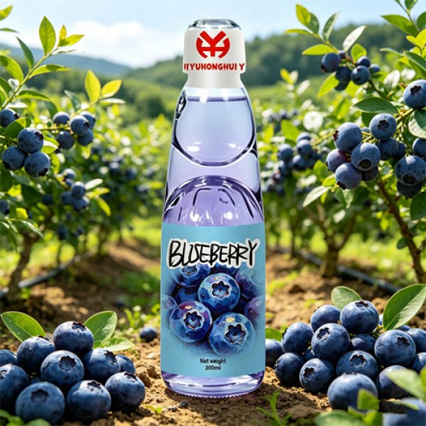 Blueberry Flavor Marble Soda (3082)