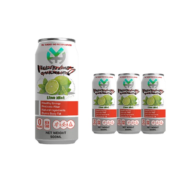 Standard 500 Lime Mint Prebiotic Sparkling Water (3153)
