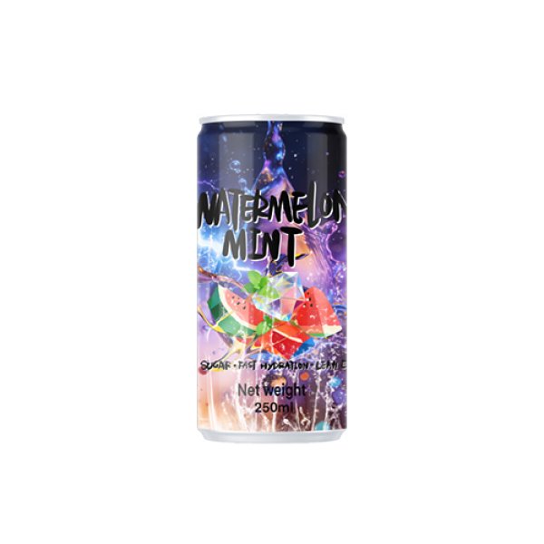 Electro Lean Zero Watermelon Mint  (4037)