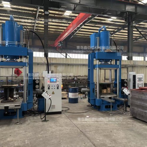Customer Photo | New Parkson musical form structure Vulcanization Machine Landing and Production