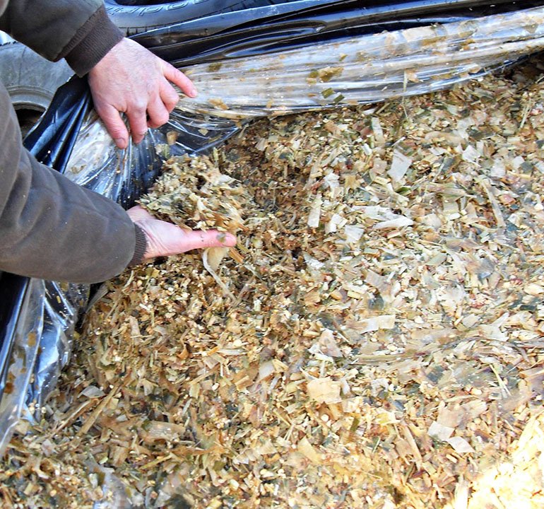 Прозрачная пленка/вакуумная пленка