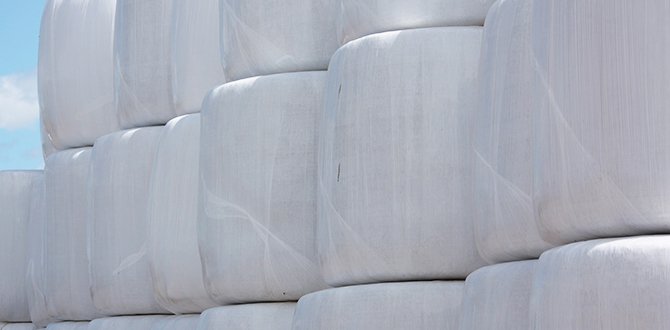 Почему цены на пастбищные пленки разные?