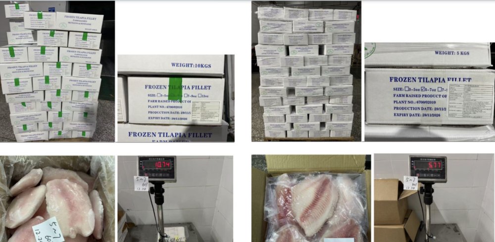 Fresh Update: 250 Cartons of Flower-Cut Snakehead Fillets Shipped to Australia!