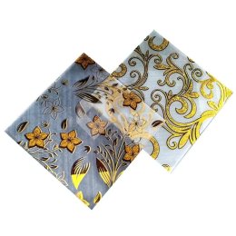 Custom Acid Etched Glass for Architectural Applications|Globalstar Glass 6