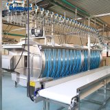 Spiral immersion chiller for chicken meat processing line