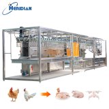 Mobile chicken slaughter line ready to use with 3-phase power connection