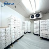 Export-grade fruit cold room with multi-temperature zones
