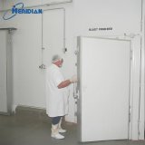 Seafood trays in ultra-low temperature freezer room