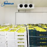 Farm-to-market fruit cold storage installation