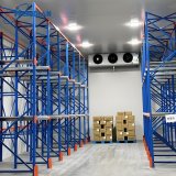 Interior of 200 tons cold storage room with shelving racks