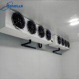 -60°C blast freezer with adjustable temperature control