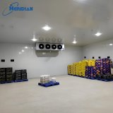Vegetable packing center cold storage with modular layout