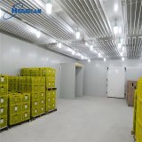 Automated temperature-controlled fruit warehouse
