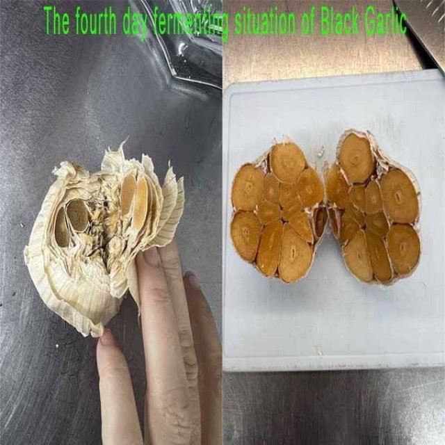 USA HY-100 Customer Started to Make Black Garlic Through Our Black Garlic Machine