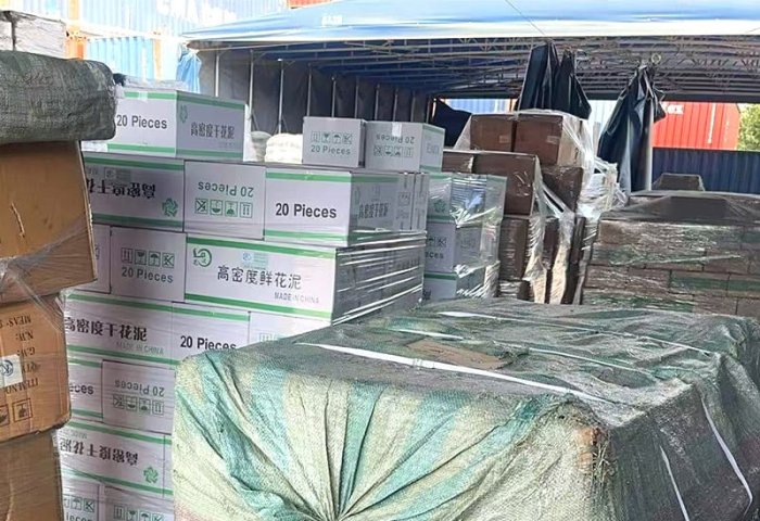 Customs Inspection & Cargo Clearance: Complete Guide to Avoid Delays and Extra Costs