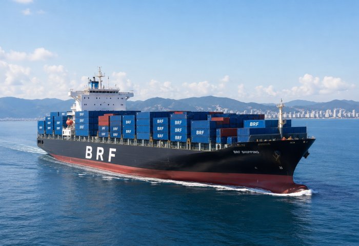 Blank Sailing Fee & Dead Freight Guide 2026 | BRF Shipping