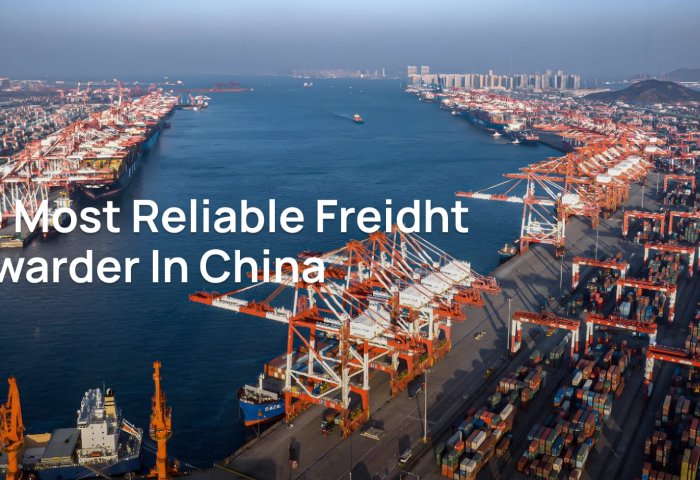 Urgent Shipping Alert: European Ports Paralyzed by Snowstorms – BRF Shipping Solutions