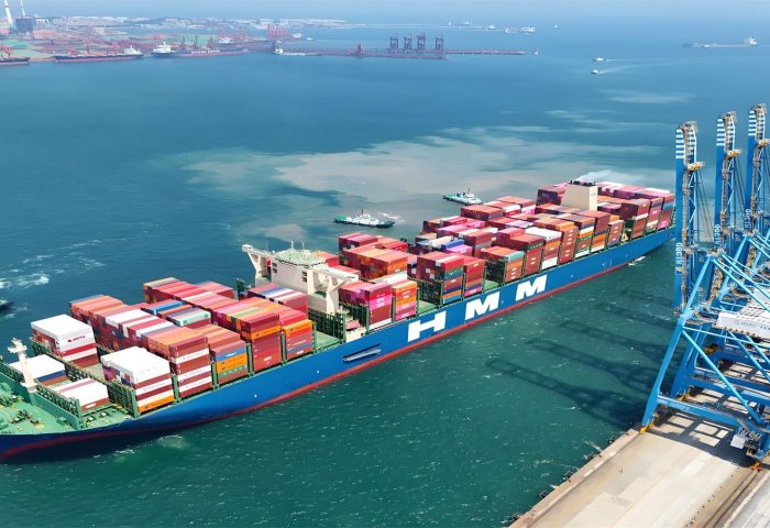 Decoding HS Codes for LCL Shipments: A Complete Step-by-Step Guide for Importers