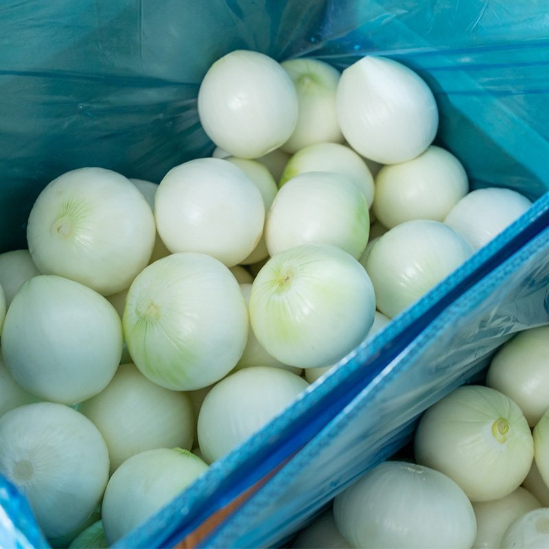 Onion (7)