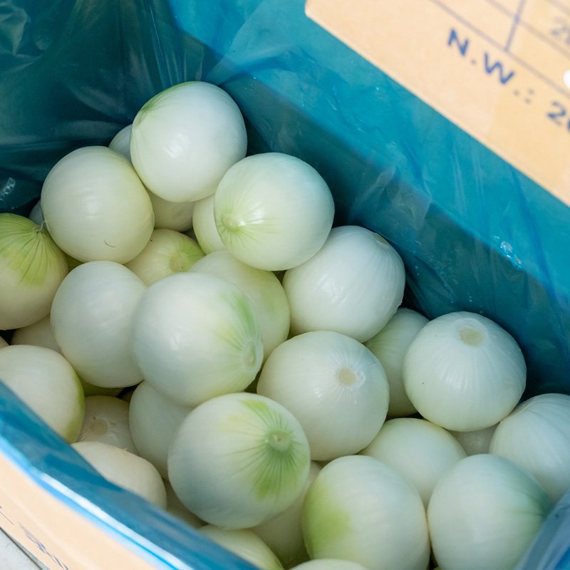 Onion (8)