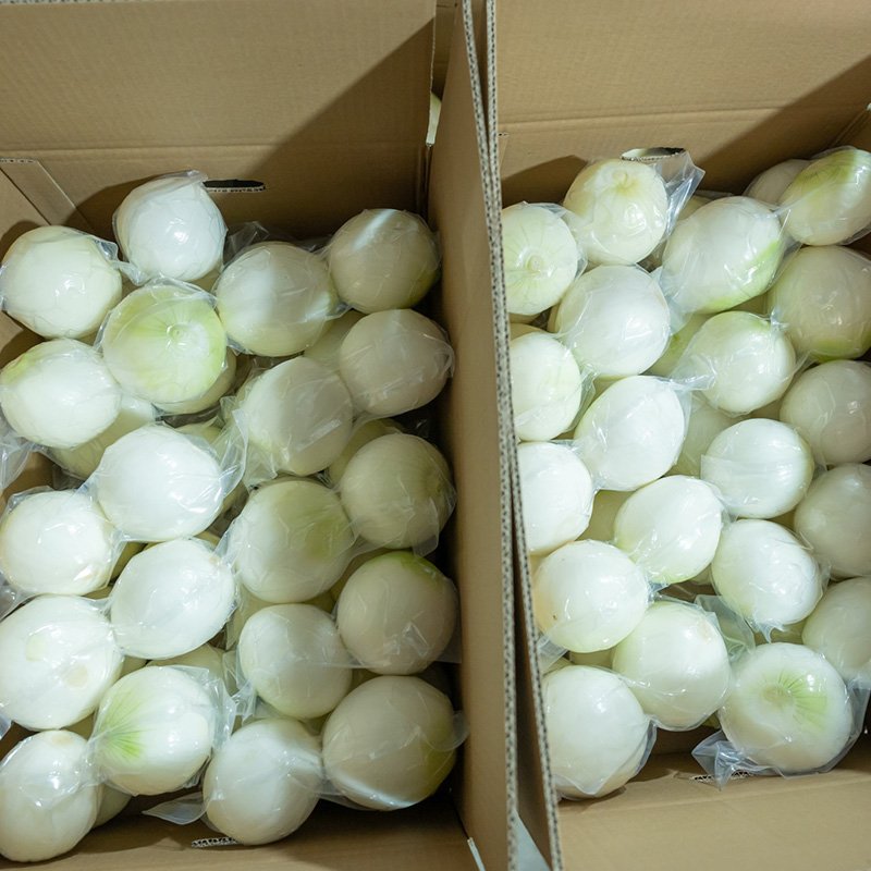 Onion (4)