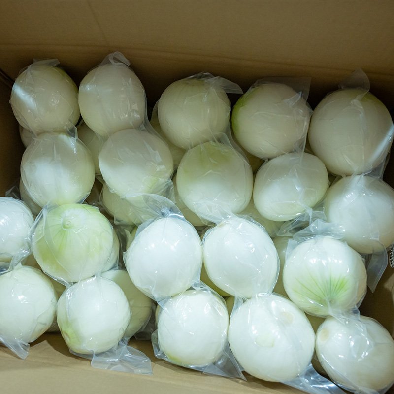Onion (5)