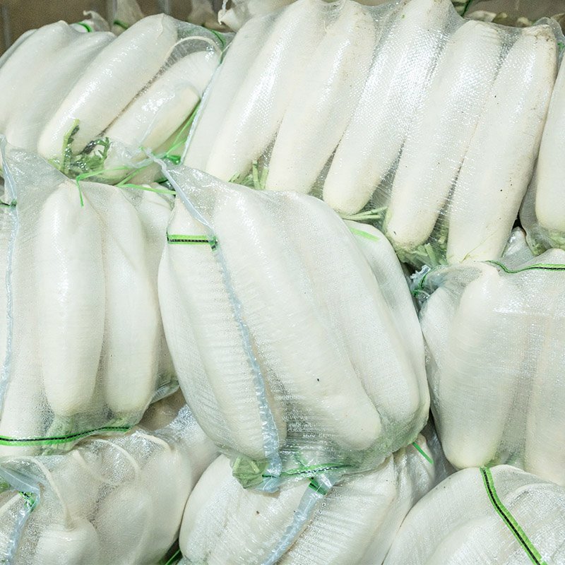 White radish (3)