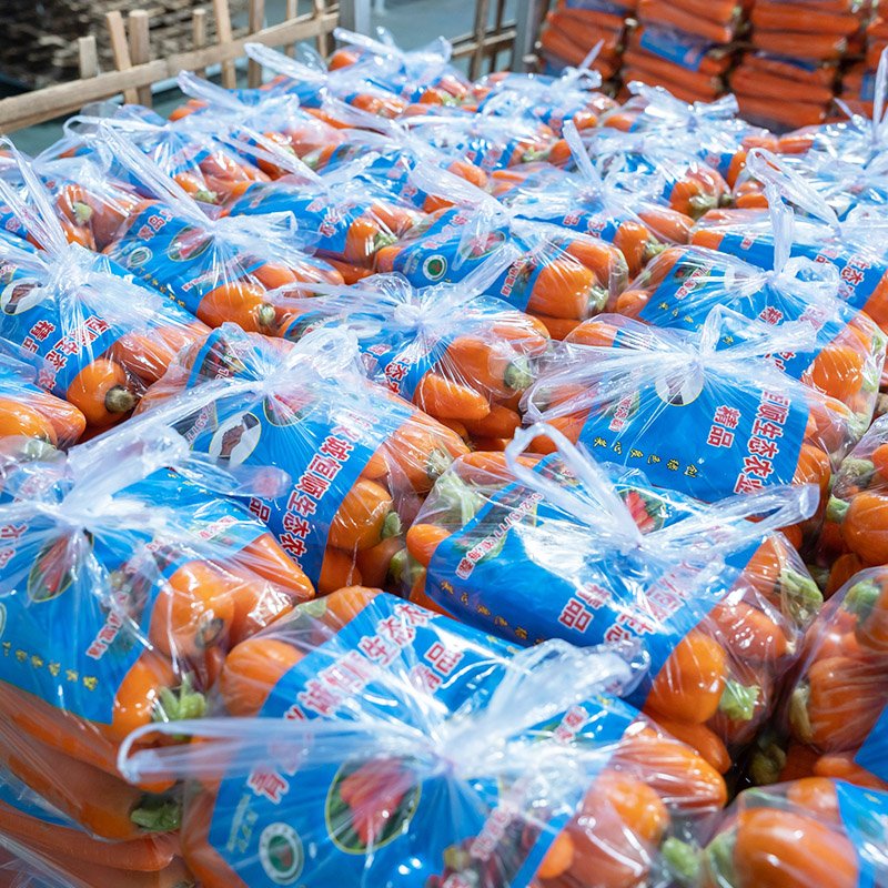 Carrot (5)