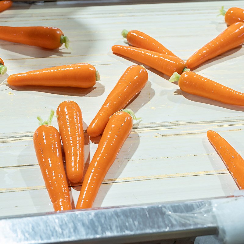 Carrot (3)