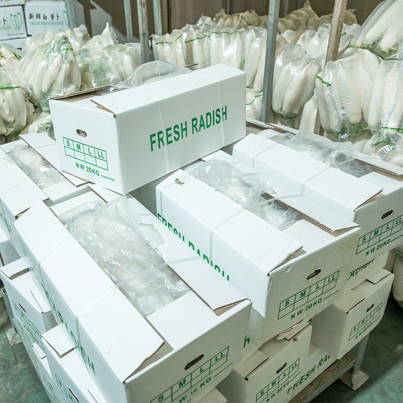 White radish (4)