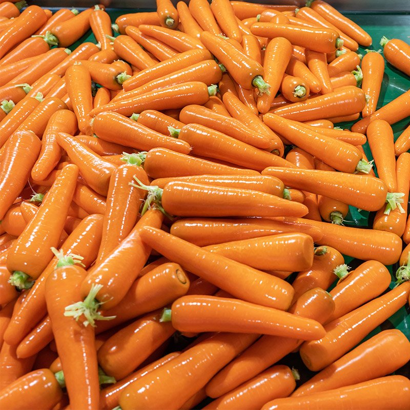 Carrot (2)