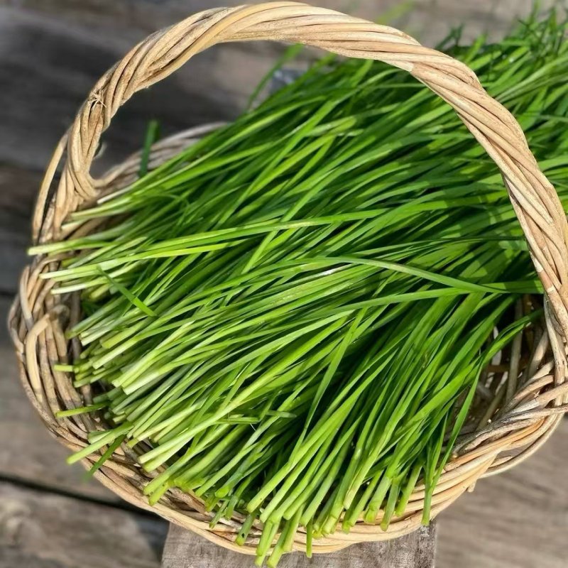 707c40df41ef989608aa6b9845ea7a02