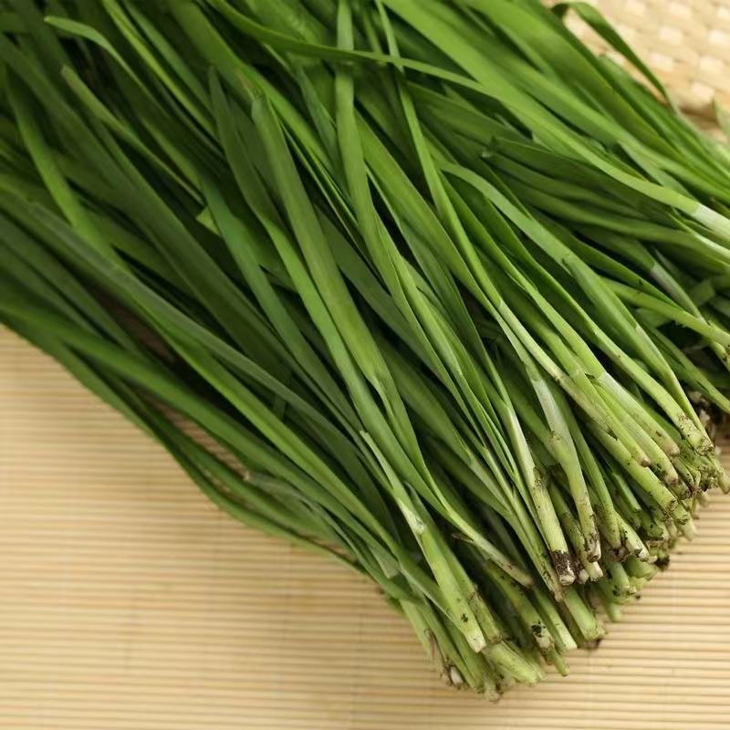 a31a1d4d94d511af0600101e1c90ec57