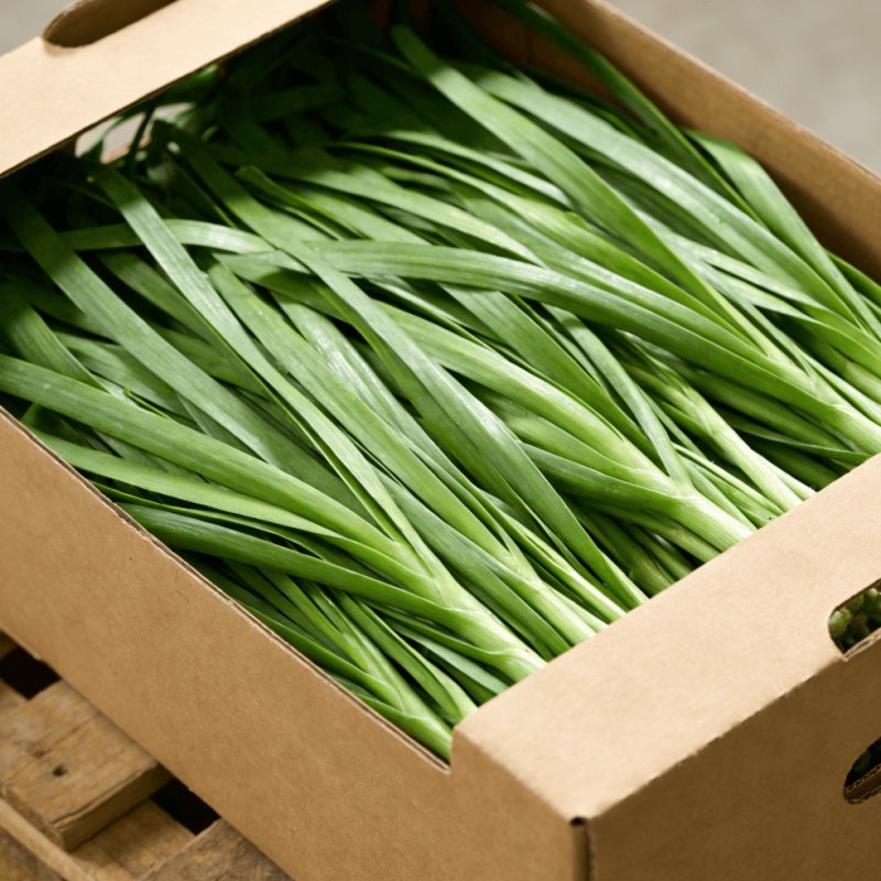 d7ec15e631bc0809ba322ff9b73c50ee