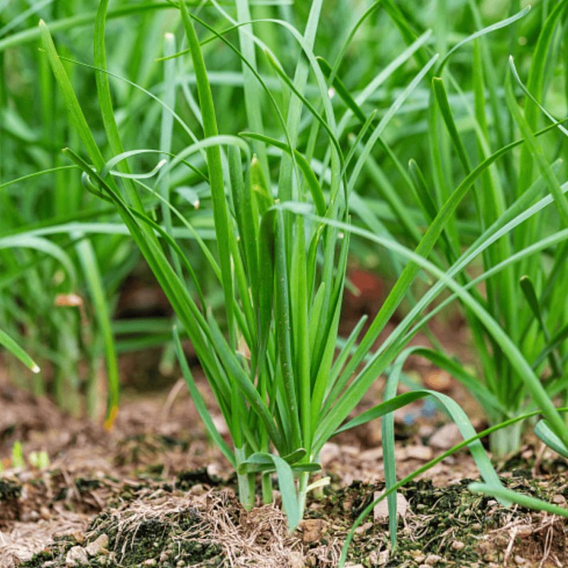 12674b10-ce20-4a14-b23d-c0f741ec7e43