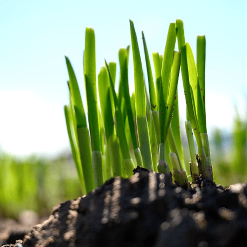 37351346-d2e0-4d16-8931-e063e444903c