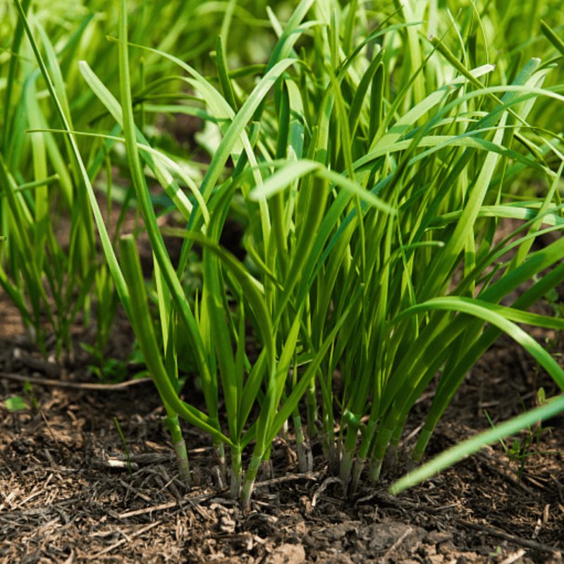 4f981dc6-520b-45d2-acf1-482b1c0ba380