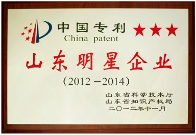 Leading Enterprise in Shandong Province