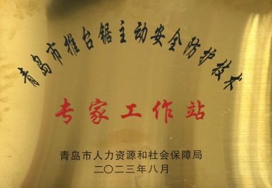 Qingdao Expert Workstation for Active Safety Technology of Sliding Table Saws