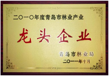 Leading Enterprise in Qingdao's Forestry Industry