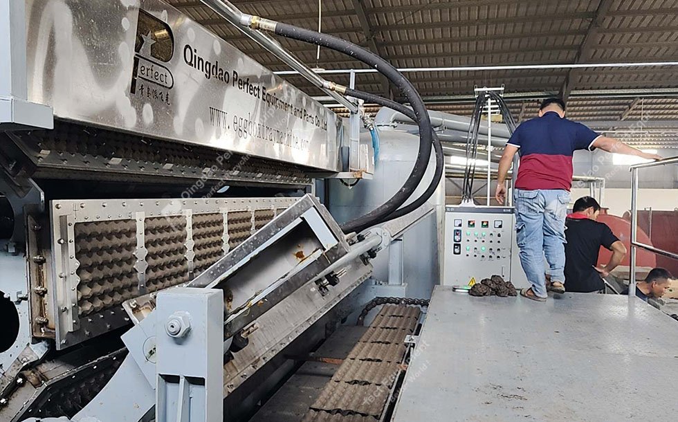 Egg Tray Machine Philippine