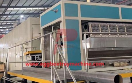 Ukraine client 4000 pieces per hour automatic egg tray making machine finish shipment